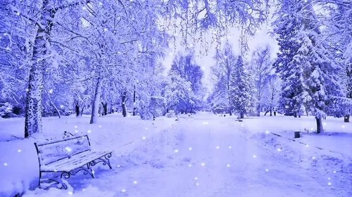 Зима Обои на телефон скамейка в заснеженном парке