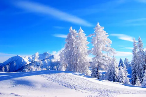 Зима Обои на телефон снежный пейзаж с деревьями и горами