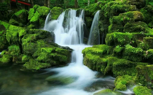 Природа 4К Обои на телефон водопад в окружении зеленых растений