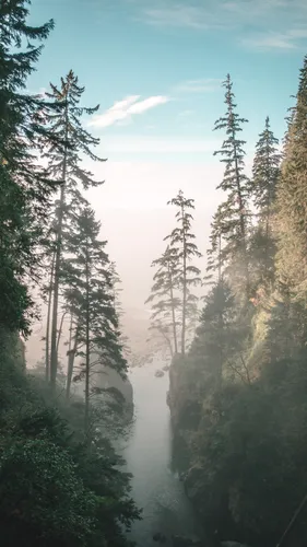 Природа Лес Обои на телефон водопад в лесу