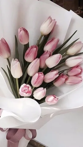 Тюльпаны Обои на телефон белая ваза с розовыми цветами