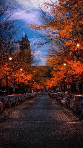 Айфон Осенние Обои на телефон улица, усеянная припаркованными автомобилями