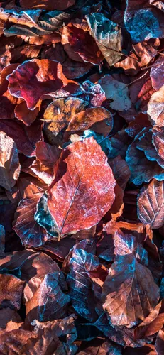 Айфон Осенние Обои на телефон куча разноцветных скал