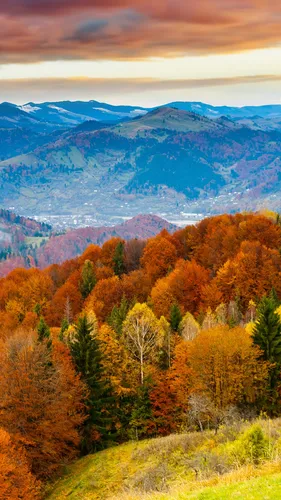 Айфон Осенние Обои на телефон пейзаж с деревьями и горами сзади
