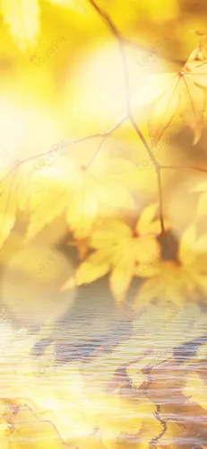 Айфон Осенние Обои на телефон крупный план желтых листьев