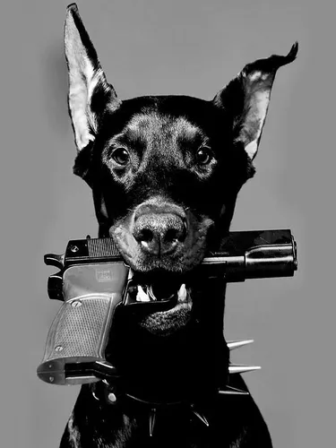 Доберман Обои на телефон собака в противогазе