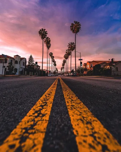 Лос Анджелес Обои на телефон дорога с пальмами на обочине
