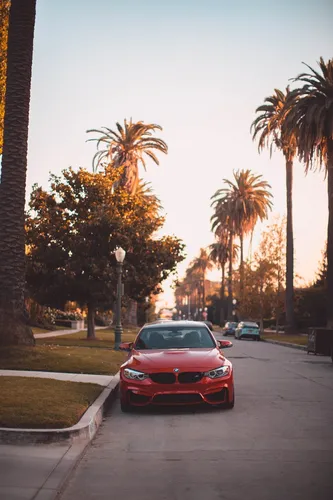 Лос Анджелес Обои на телефон красный спортивный автомобиль, припаркованный на обочине дороги с пальмами