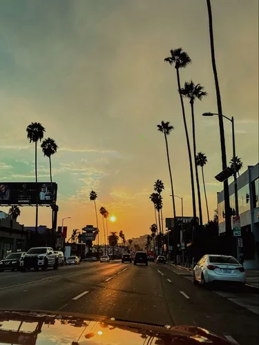 Лос Анджелес Обои на телефон улица с пальмами и зданиями