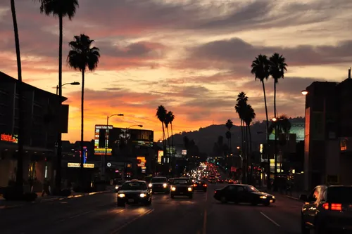 Лос Анджелес Обои на телефон улица с машинами и зданиями сбоку с пальмами и горами на заднем плане