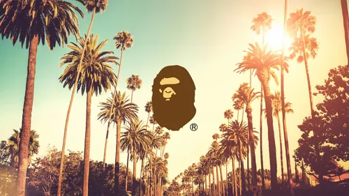 Лос Анджелес Обои на телефон группа пальм