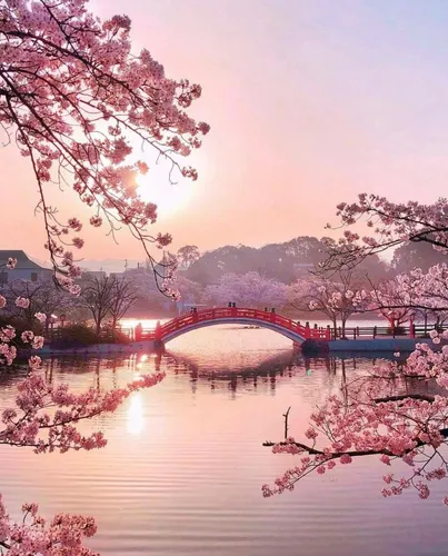 В Японском Стиле Обои на телефон мост через реку