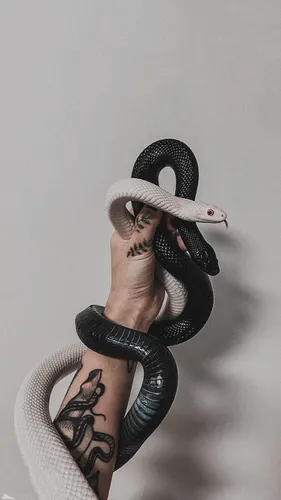 Змея Обои на телефон человек в шляпе и держит трубку