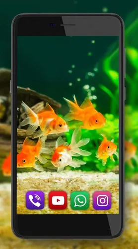 Золотые Рыбки Обои на телефон снимок экрана мобильного телефона