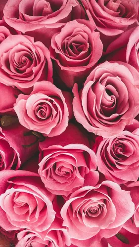 Розы Розовые Обои на телефон фоновый узор