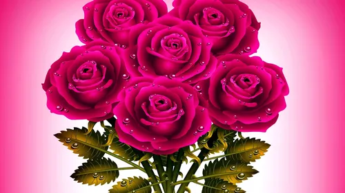 Розы Розовые Обои на телефон 2022