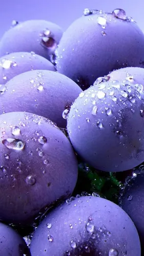 Фрукты В Воде Обои на телефон группа фиолетовых яиц
