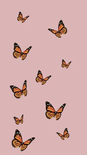 С Бабочками Обои на телефон группа летающих бабочек
