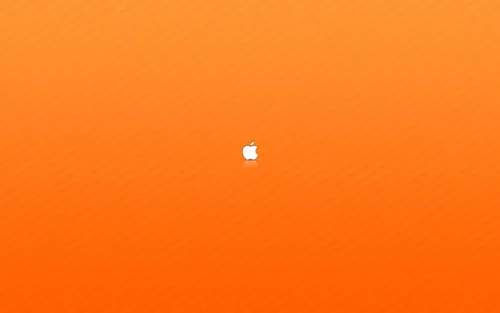 Оранжевые Обои на телефон маленькая белая мышь на оранжевой поверхности