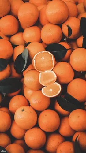 Оранжевые Обои на телефон куча апельсинов