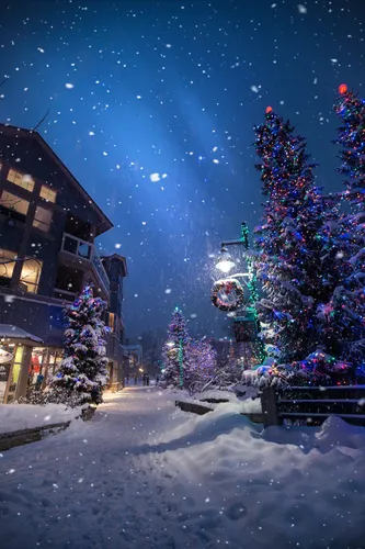 Рождественские Обои на телефон снежная улица с деревьями и огнями