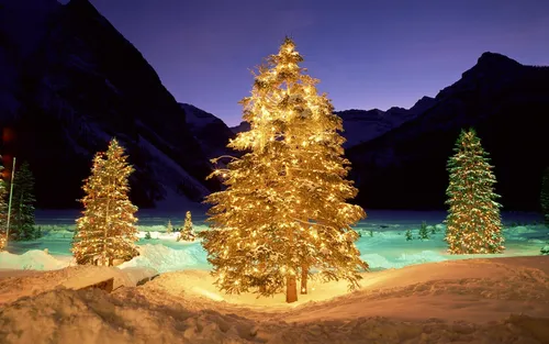 Рождественские Обои на телефон группа деревьев в заснеженном месте