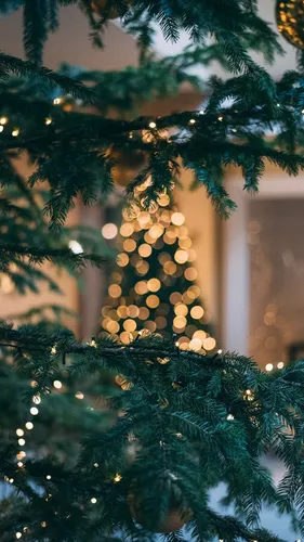 Рождество Обои на телефон дерево с огнями и украшениями