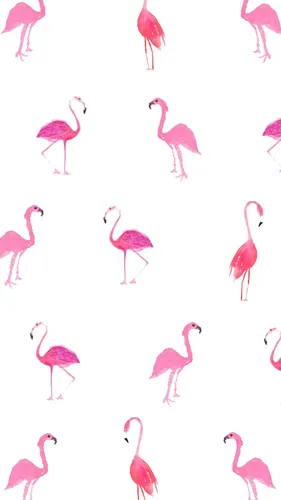 Фламинго Обои на телефон снимок