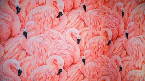 Фламинго Обои на телефон группа розовых фламинго