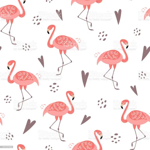 Фламинго Обои на телефон группа птиц