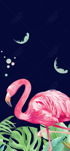 Фламинго Обои на телефон картинки