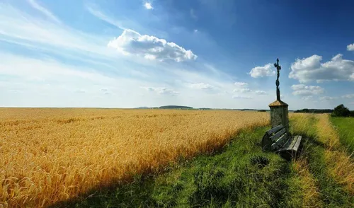 Христианские Обои на телефон пшеничное поле со статуей посередине