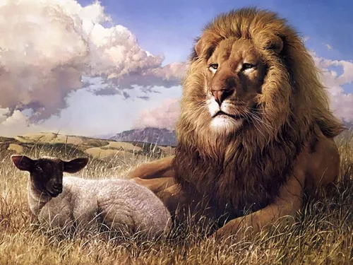 Христианские Обои на телефон лев и львенок в травянистом поле