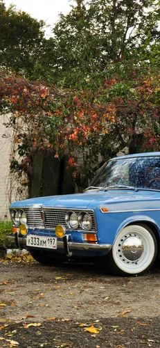 Ваз 2106 Обои на телефон синяя машина, припаркованная рядом с деревом с красными листьями