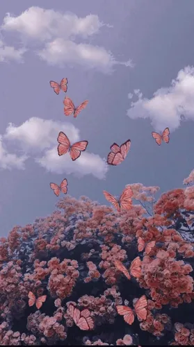 Эстетичные Обои на телефон группа бабочек, летающих в небе