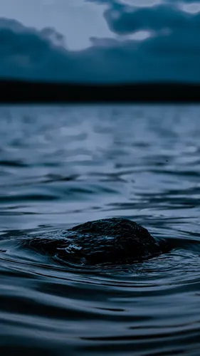 Вода Обои на телефон кит в воде