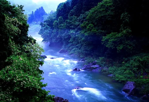 Водопад Обои на телефон река в лесу
