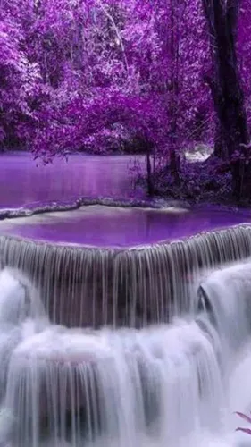 Водопад Обои на телефон водопад с фиолетовыми цветами