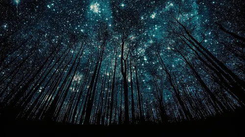 Звездное Небо Обои на телефон картинка