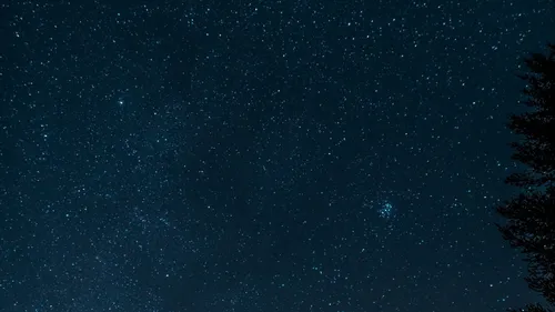Звездное Небо Обои на телефон звездное ночное небо с деревом