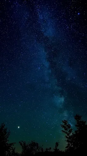 Звездное Небо Обои на телефон звездное ночное небо с деревьями