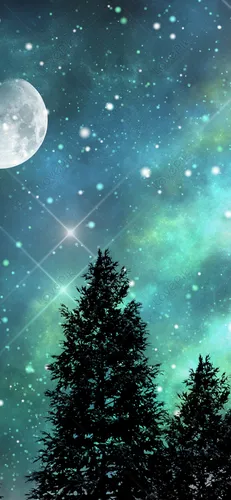 Красивые Лес Обои на телефон дерево и луна в небе