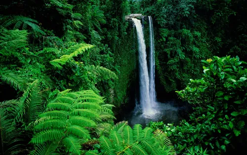 Красивые Лес Обои на телефон водопад в лесу