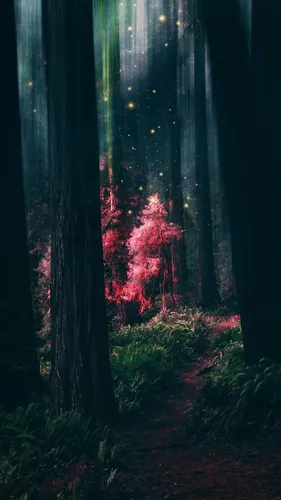 Красивые Лес Обои на телефон пожар в лесу