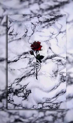 Мрамор Обои на телефон роза на ветке