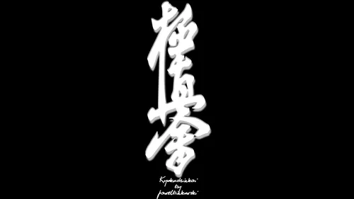 Каратэ Киокушинкай Обои на телефон бело-черный логотип