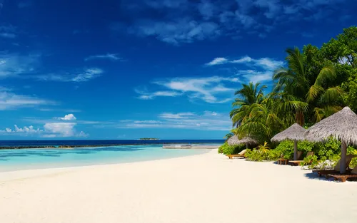 Море Пляж Обои на телефон пляж с пальмами и зонтиками