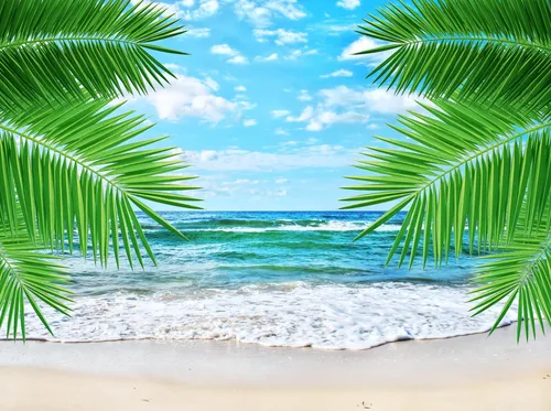 Пальмы Обои на телефон пляж с пальмами