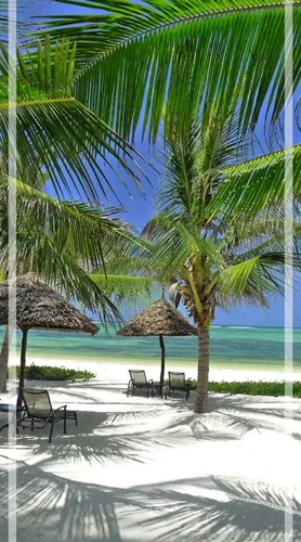 Пальмы Обои на телефон пляж с пальмами и зонтиками