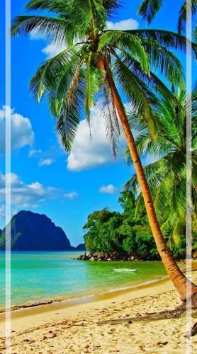 Пальмы Обои на телефон пляж с пальмами и водоемом